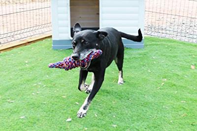 Happy Pet Twist-tee coil tugger touw