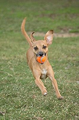 CHUCKIT TENNISBAL - thumbnail