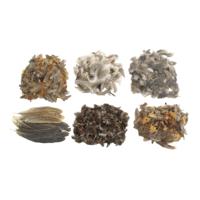 Colorations - natuurlijke veren - thumbnail