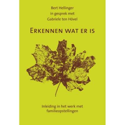 Erkennen wat er is (Paperback)