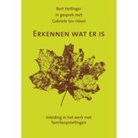 Erkennen wat er is (Paperback) - thumbnail