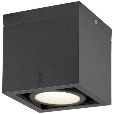 SLV Led plafondspotEskina - 1006316