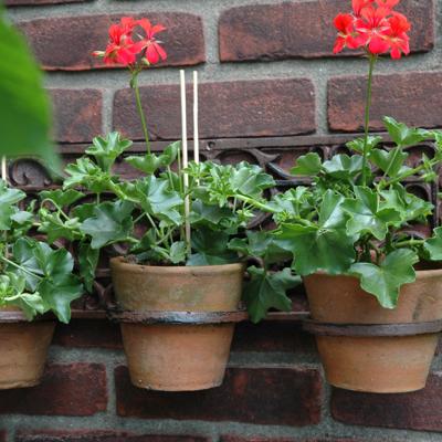 Bloempot houder drie houders / Esschert Design Bloempot houder drie houders / Esschert Design