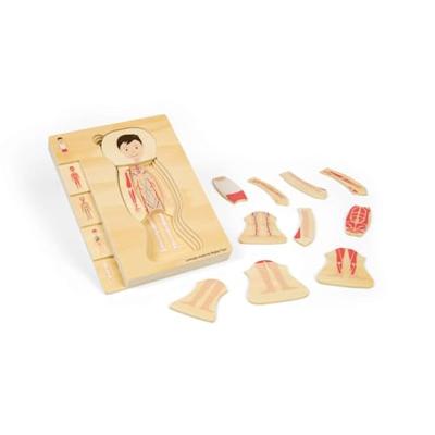 Bigjigs houten anatomiepuzzel - jongen, 26st.
