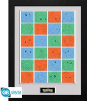 Pokemon Framed Print - First Partner Grid - thumbnail