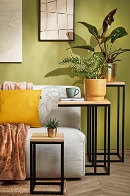 Mica Decorations Oskar Planttafel L