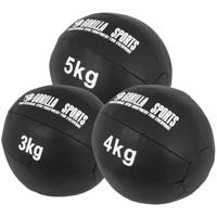 Medicine ball set 12 kg leer - thumbnail