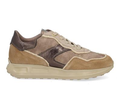 DL Sport 6756 vers 07 tappo taupe maat 38 DL Sport 6756 vers 07 tappo taupe maat 38
