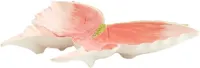 Light & Living schaal keramiek butterfly 26.5x24.5x3.5cm roze - thumbnail