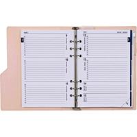 Organizer kalpa a5 + ag25-26 7d/2p croco rose - thumbnail
