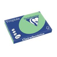 Clairefontaine Trophée Pastel, gekleurd papier, A3, 120 g, 250 vel, natuurgroen - thumbnail