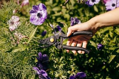 Fiskars Snoeischaar Pro bypass P90 - thumbnail