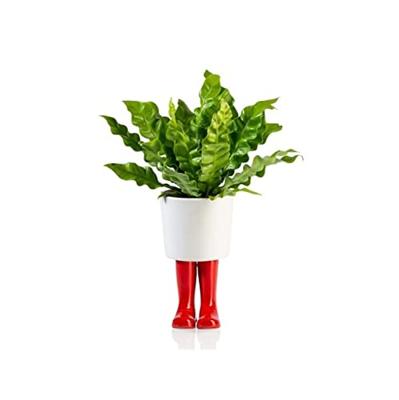 Regenlaarzen Bloempot - Klein/rood