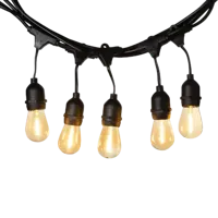 Cotton Ball Lights Premium Patio Lichtslinger Edison Bulbs Starter Kit - thumbnail