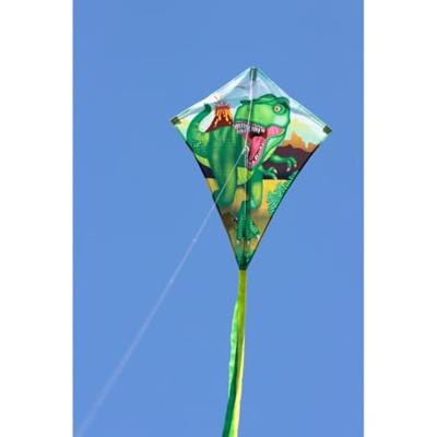 Ecoline Eenlijns Vlieger Eddy T-Rex Spanwijdte 700 mm Geschikt voor windsterkte 2 - 5 bft Ecoline Eenlijns Vlieger Eddy T-Rex Spanwijdte 700 mm Geschikt voor windsterkte 2 - 5 bft