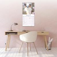 Chihuahua Kalender 2026 - thumbnail