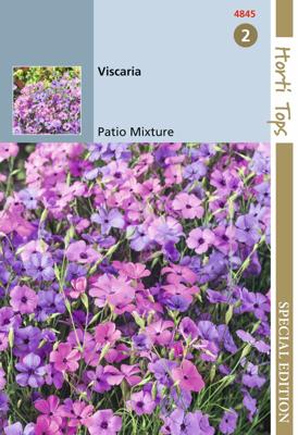 Zaden Viscaria Patio Mixture Hortitops - Hortitops Zaden Viscaria Patio Mixture Hortitops - Hortitops