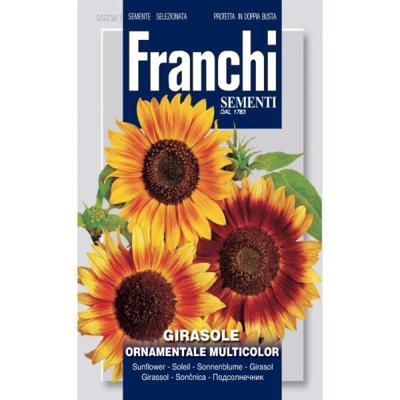 Zonnebloem Girasole Ornamentale 329/1 zaden Franchi - Franchi