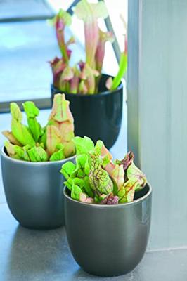 Mica Decorations tusca pot groen 25x23cm