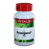 Vitals Pycnogenol Capsules - thumbnail