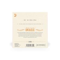 D&apos;Addario EJ65B Pro Arté Custom Extruded - thumbnail