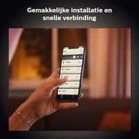 Philips 1-pack G125 E27 Globe met zichtbare gloeidraad - thumbnail