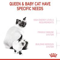 Royal Canin Mother & Babycat droogvoer voor kat 4 kg Volwassen Gevogelte - thumbnail