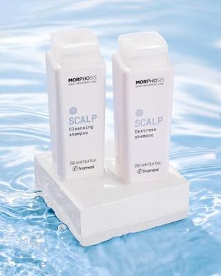 Framesi Morphosis Scalp Destress Shampoo 250ml