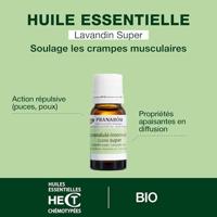 Pranarôm Essentiële Olie Lavandin Super Bio 10ml - thumbnail