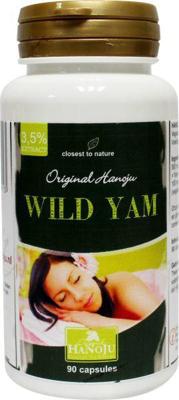 Hanoju Wild yams 500mg 90 Vegetarische capsules