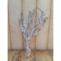 Decoratie tak wit 20 tot 30 cm Warentuin Natuurlijk - Warentuin natuurlijk - thumbnail