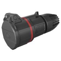 Walther Werke FW311506SK FW311506SK CEE-koppeling 16 A 5-polig 400 V 1 stuk(s) - thumbnail