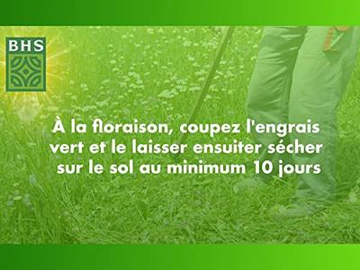 Witte klaver - BHS - 500 m² | Bevordert de biodiversiteit, past zich aan alle bodemsoorten aan en is bestand tegen vertrapping. Witte klaver - BHS - 500 m² | Bevordert de biodiversiteit, past zich aan alle bodemsoorten aan en is bestand tegen vertrapping.