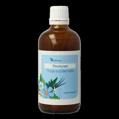 Balancepharma Thuja occidentalis tincturen 100 Milliliter