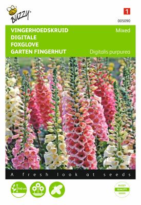 Digitalis, Vingerhoedskruid Gemengd Digitalis, Vingerhoedskruid Gemengd