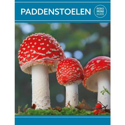 Paddenstoelen - Rebo mini guide (Paperback)