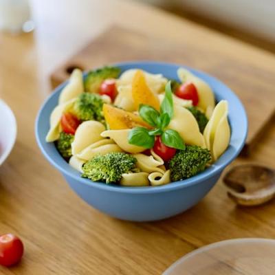 Rotho Schaal met Deksel 4.8L Horizon Blauw