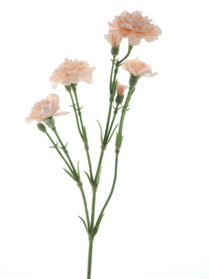 Dianthus Charly lt peach 62 cm kunstbloem Erutan Avon - Erutan avon