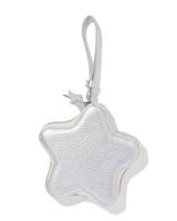 HEMA Etui 15.5x3x15cm ster (zilver) - thumbnail