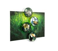 Trendform Magnet Eye - Royal Garden - set van 4 verschillende - thumbnail