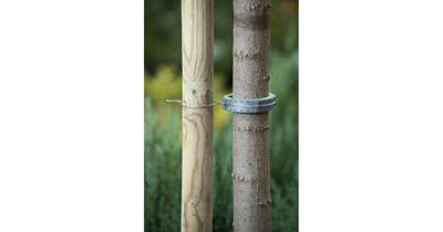Softboomband groen 30x2,5cm set a 2 stuks Nature - Nature
