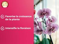 GOUD BRUIN Orchideeënmest 250 ml - thumbnail