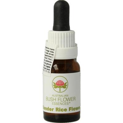 Australian Bush Slender rice flower 15 Milliliter Australian Bush Slender rice flower 15 Milliliter