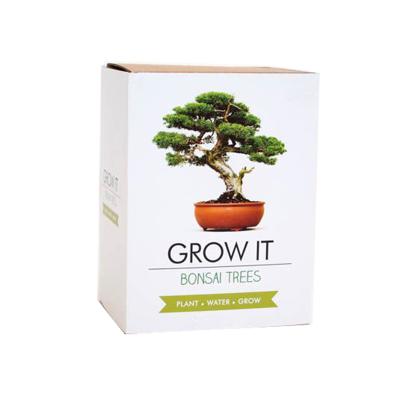 Gift Republic Bonsai Bomen Gift Republic Bonsai Bomen