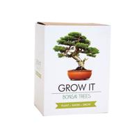 Gift Republic Bonsai Bomen - thumbnail