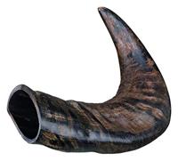 TX-27742 Buffalo Chewing Horn medium - thumbnail