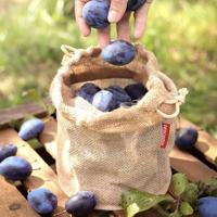 Herbruikbare voedselzak Tescoma 4food 2,5 L Jute - thumbnail