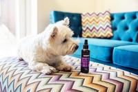 Animology Heaven Scent Fragrance Mist - thumbnail