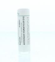 Homeoden Heel Ammonium muriaticum D12 6 Gram - thumbnail