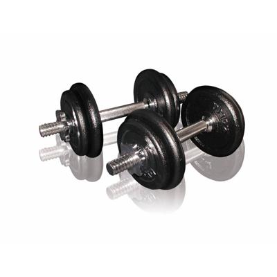 Toorx Dumbbellset 20 kg - gietijzer - met Koffer
